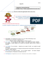 Guia 1 Niveles Organizacion 5 Ciencias