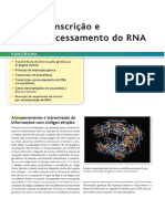 Cap 11 - Transcrição e Processamento de RNA