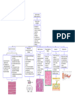 Diagrama en Blanco