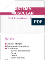 Sistema Muscular Nutrição PDF