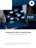 Programación Web - Desarrollo Web