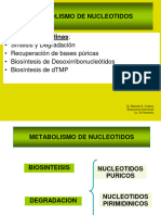 METABOLISMO DE NUCLEOTIDOS-clase