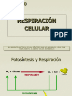 Respiración Celular 12