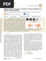 Yadav Et Al 2023 Cellular Senescence Program Is Sensitive To Physical Differences in Polymeric Tissue Scaffolds