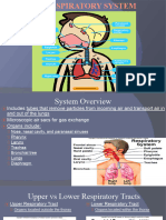 RespiratorySystem KP