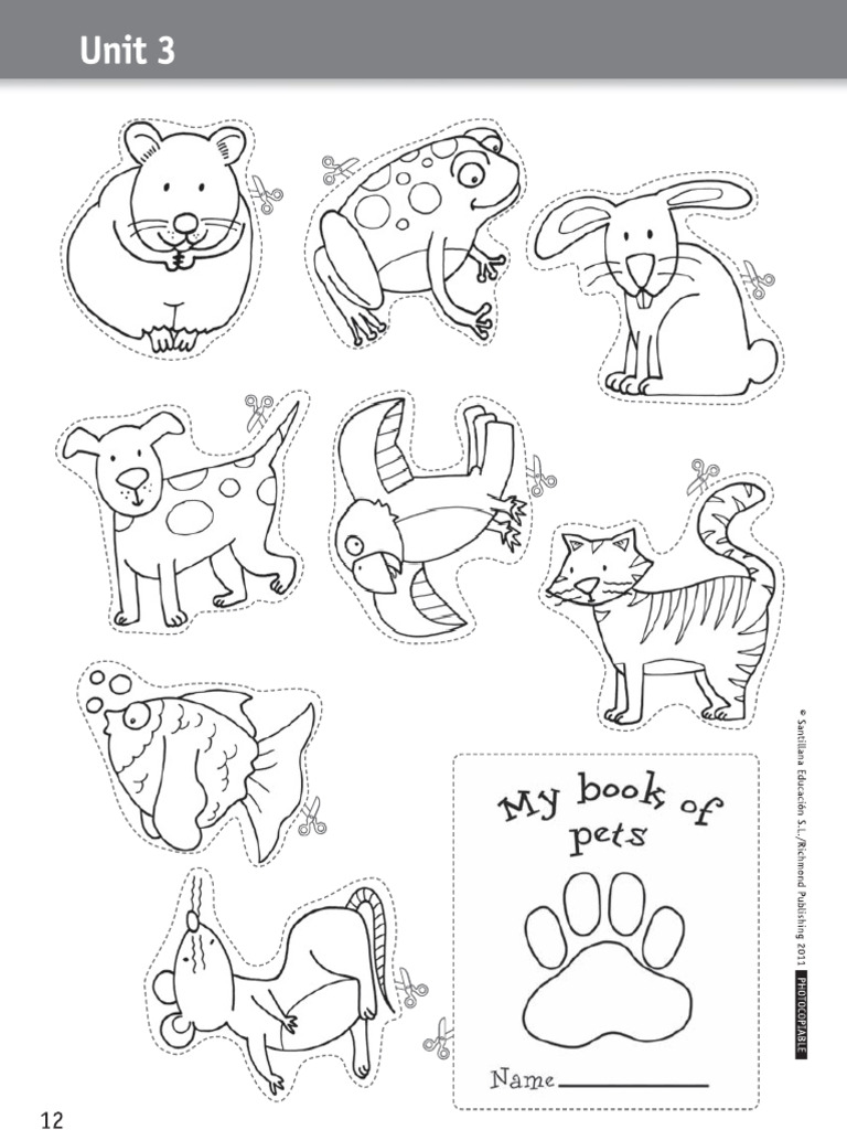 Book Pet | PDF