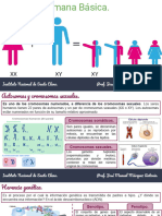 Genética Humana Básica.