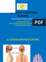 Sistema Nervioso Central y Periferico