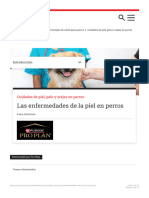 Las Enfermedades de La Piel en Perros - Purina®