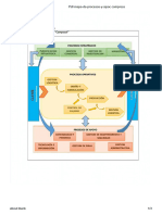 Pdf-Mapa-De-Procesos-Y-Sipoc Compress