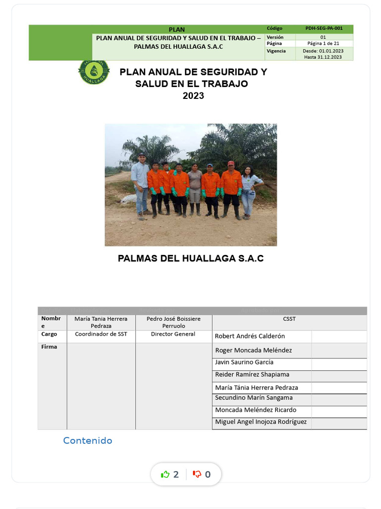 Plan Anual de Seguridad 2023 S.A.C. | PDF | Seguridad y salud ...