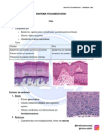 Tegumentario Manual Histología Médica