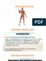 SISTEMA MUSCULAR