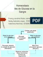 Homeostasis de Gluccosa