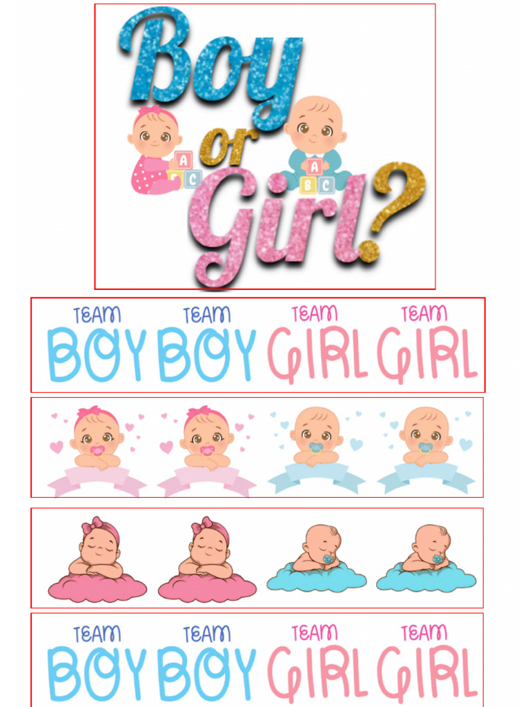 Gender Reveal | PDF