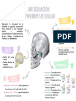 Articulación Temporomandibular: Qué Es La Atm? Ligamentos Entrinsecos