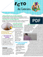 Proyecto de Ciencia