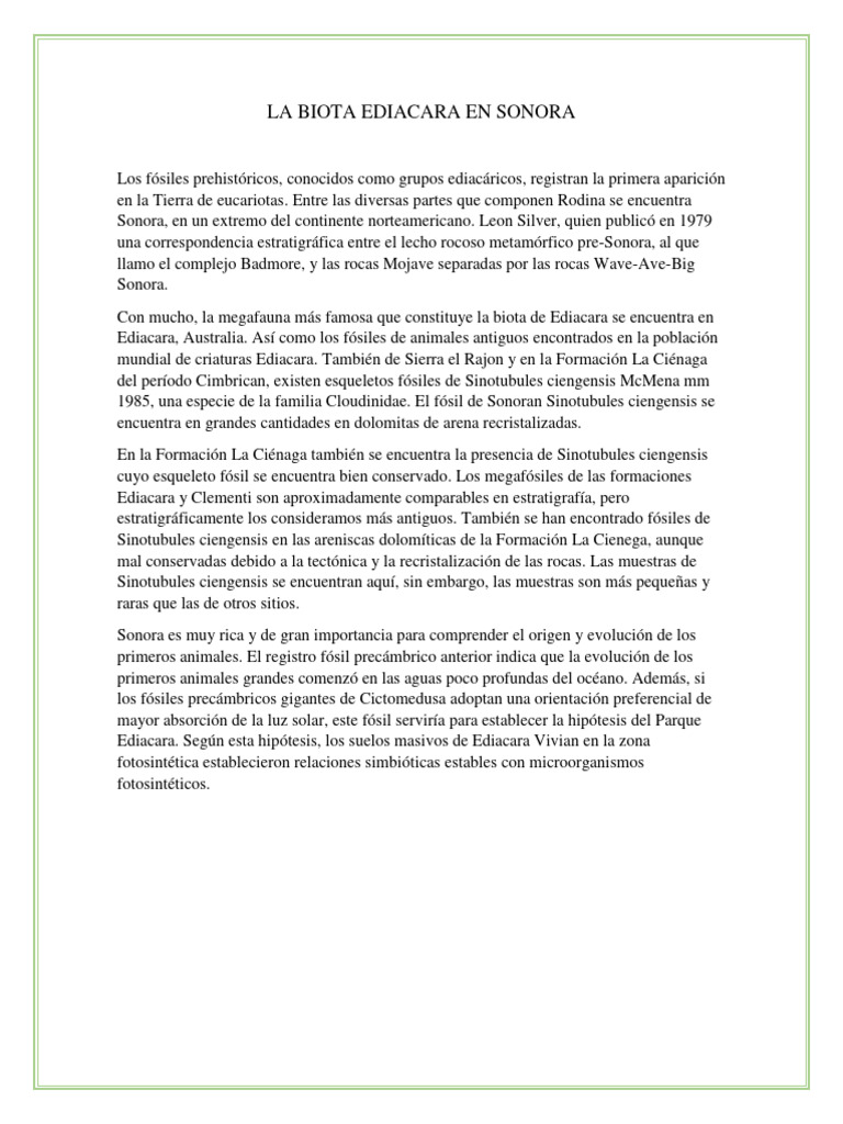 Biota Ediacara en Sonora: Fósiles y Evolución | PDF