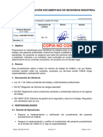 CAB-SEG-PG-003rv00 Evaluacion y Gestion de Riesgo