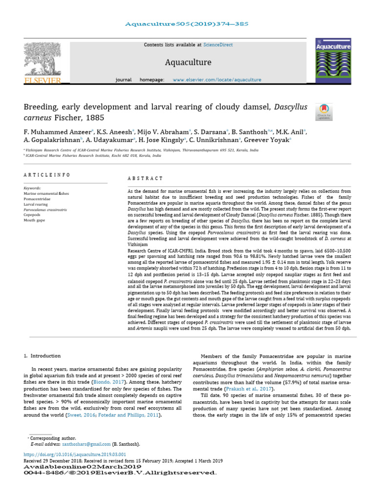breeding-early-development-and-larval-rearing-of-cloudy-damsel-2019