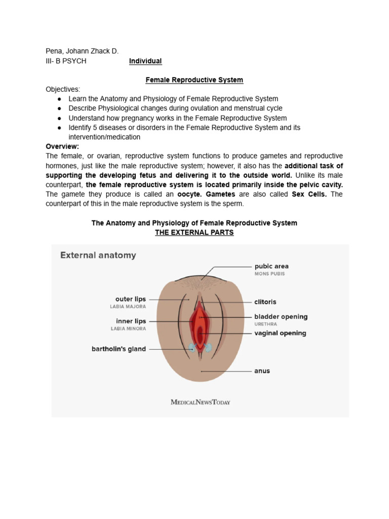 Anatomy visual data 5