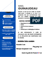 Professional CV Resume 3