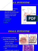 4) Integrated Small Intestine