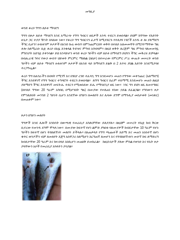Fish Farming Text | PDF
