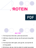 Bản Sao PROTEIN.P