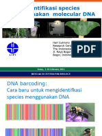 Species Identification Using DNA Molecular