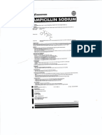 Ampicillin Sodium Inj Berno Brosur