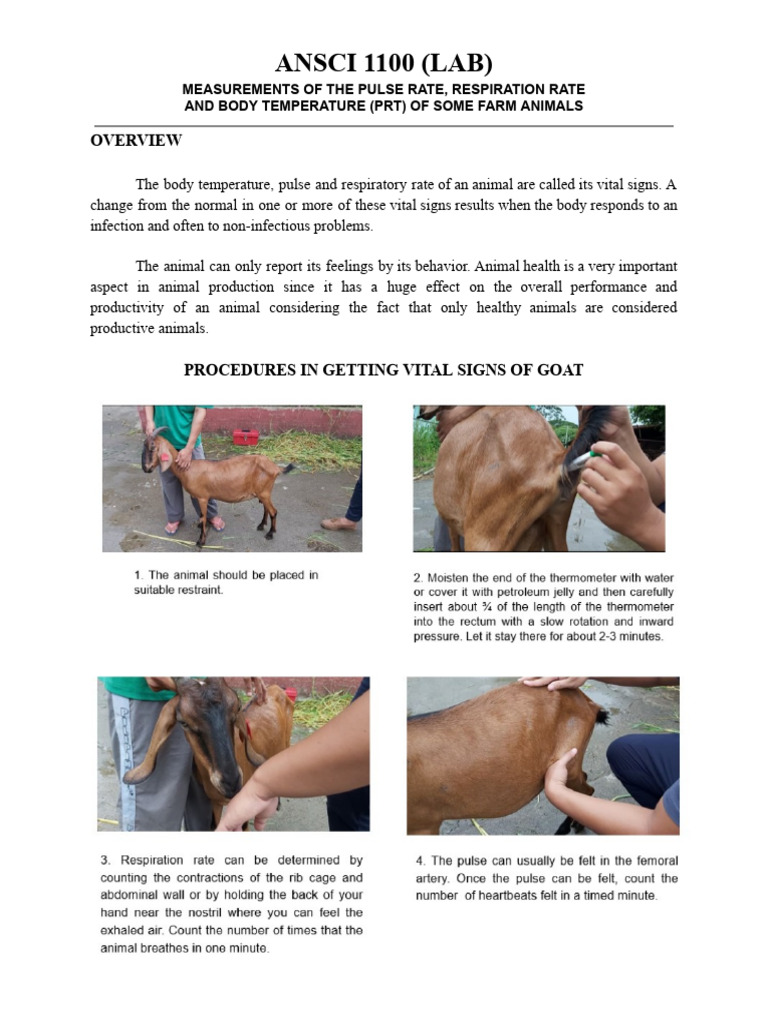 ANSCI Module 3 | PDF | Thorax | Exhalation