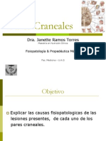 17-pares-craneales-1201130538583042-4-110507230416-phpapp02
