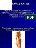 Kończyna Dolna