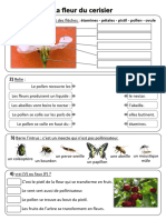 La Fleur de Cerisier Fiche Dex