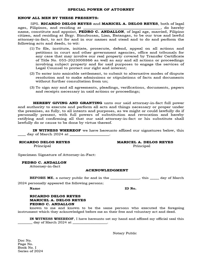 Special power of atty to file a case sps ricardo delos reyes and