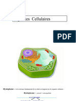 Biologie Organites Cellulaire