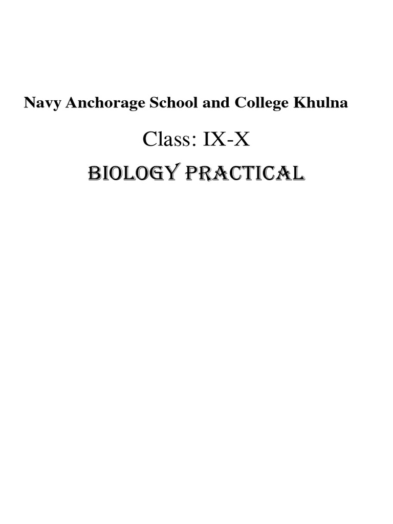 Bengali language visual data 7