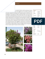 Pages From Riyadh Plants Manual English 8