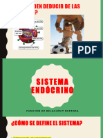 Sistema Endócrino