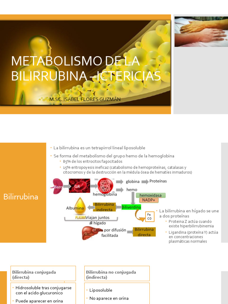 Bilirrubinas | PDF | Especialidades Medicas | Medicina CLINICA