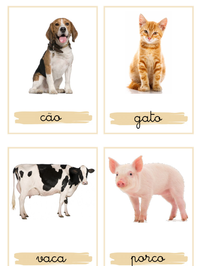 Animais Da Quinta - Letra Manuscrita | PDF