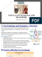Unit 6 Notes - Gas Exchange and Transport