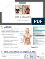Unit 9 Notes - Digestive System