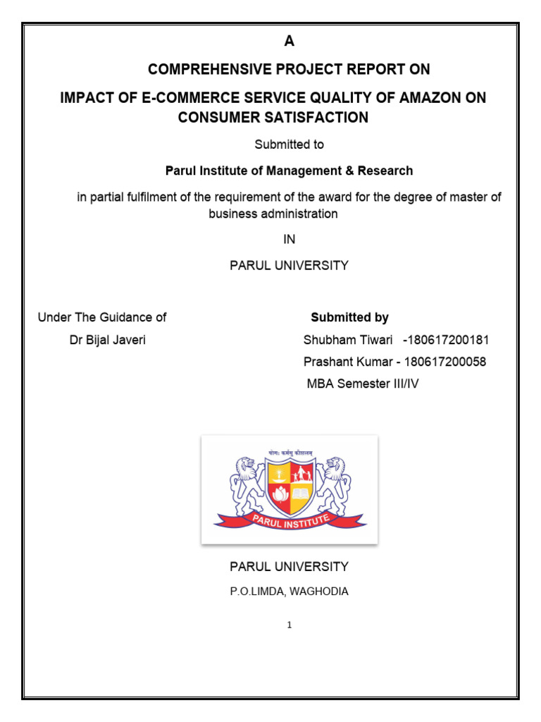 E-Commerce Impact on Amazon Satisfaction | PDF | E Commerce | Online ...
