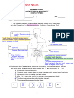 L9 - P5 WS - Circulatory System Open Ended