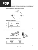 Primary 6 Science: Forces Overview | PDF | Lever | Friction