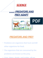 1.11predators & Prey
