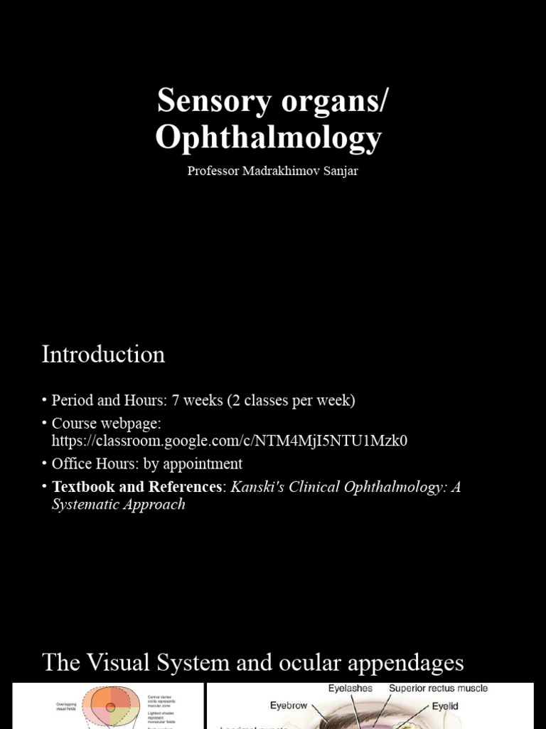 Anatomy of The Eye | PDF | Retina | Cornea