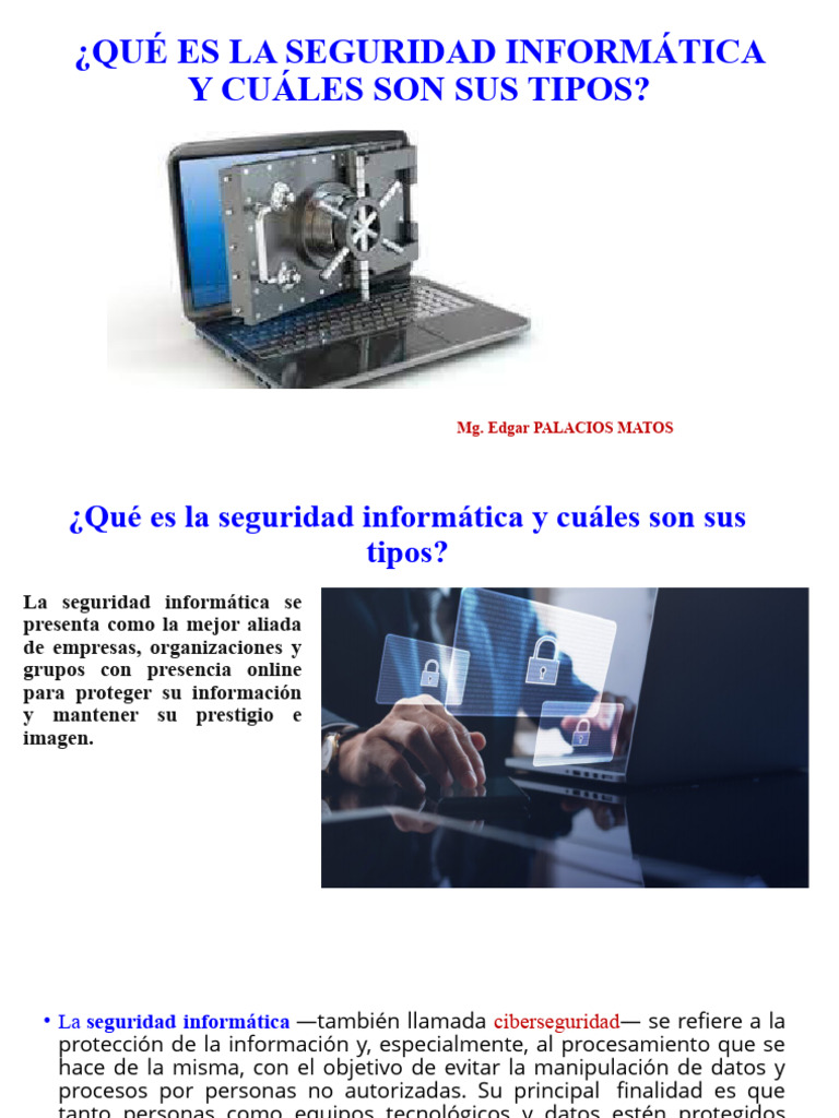 Tipos y Importancia de la Seguridad Informática | PDF | La seguridad ...